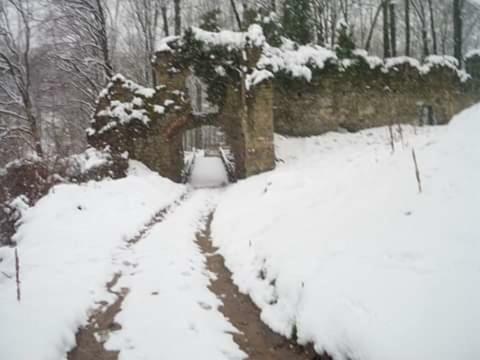 Villa Kuca Za Odmor"Miran San" Podgorić Exterior foto